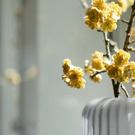 Vakantiehuis Witthues - Domizil Silbermoewe - Exklusiv, Strand- Und Zentrumsnah Westerland