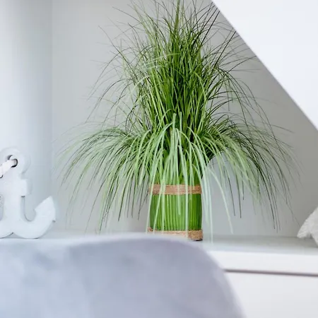 Witthues - Domizil Silbermoewe - Exklusiv, Strand- Und Zentrumsnah * Westerland